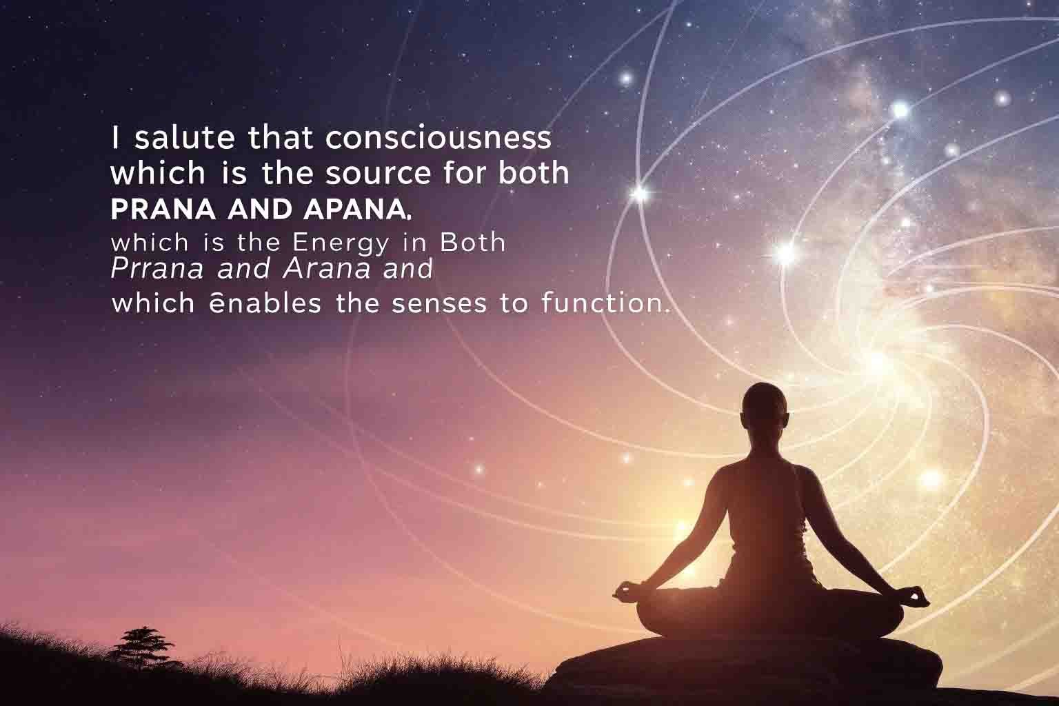 Vasista quote on consciousness as source of prana and apana energy
